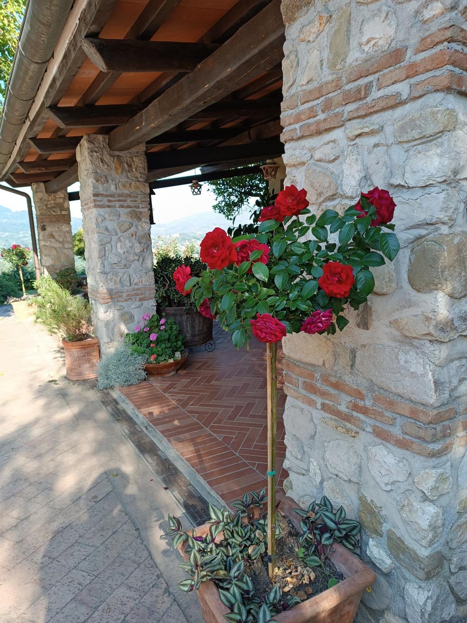 Santa Lucia B&B Caiazzo Exterior photo
